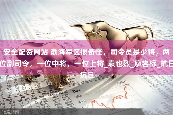 安全配资网站 渤海军区很奇怪，司令员是少将，两位副司令，一位中将，一位上将_袁也烈_廖容标_抗日