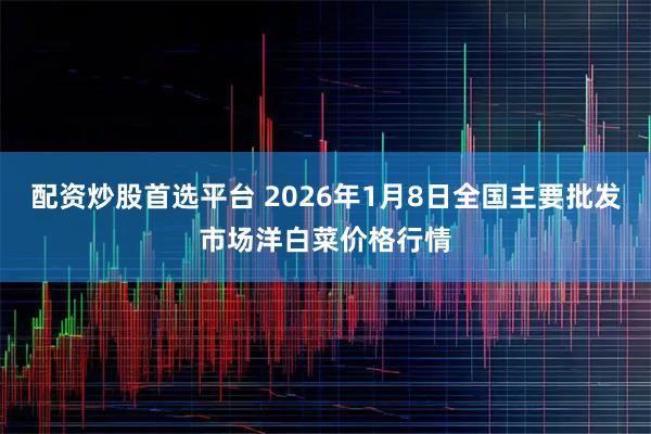 配资炒股首选平台 2026年1月8日全国主要批发市场洋白菜价格行情